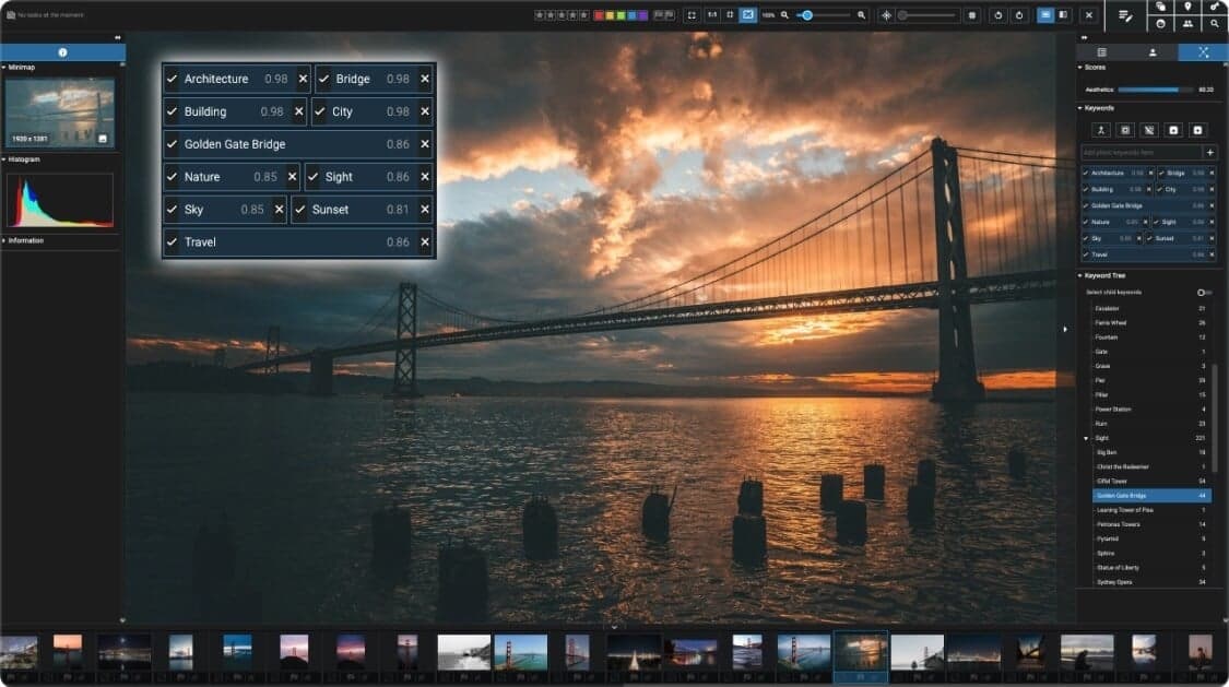 Library view with metadata and collection panels